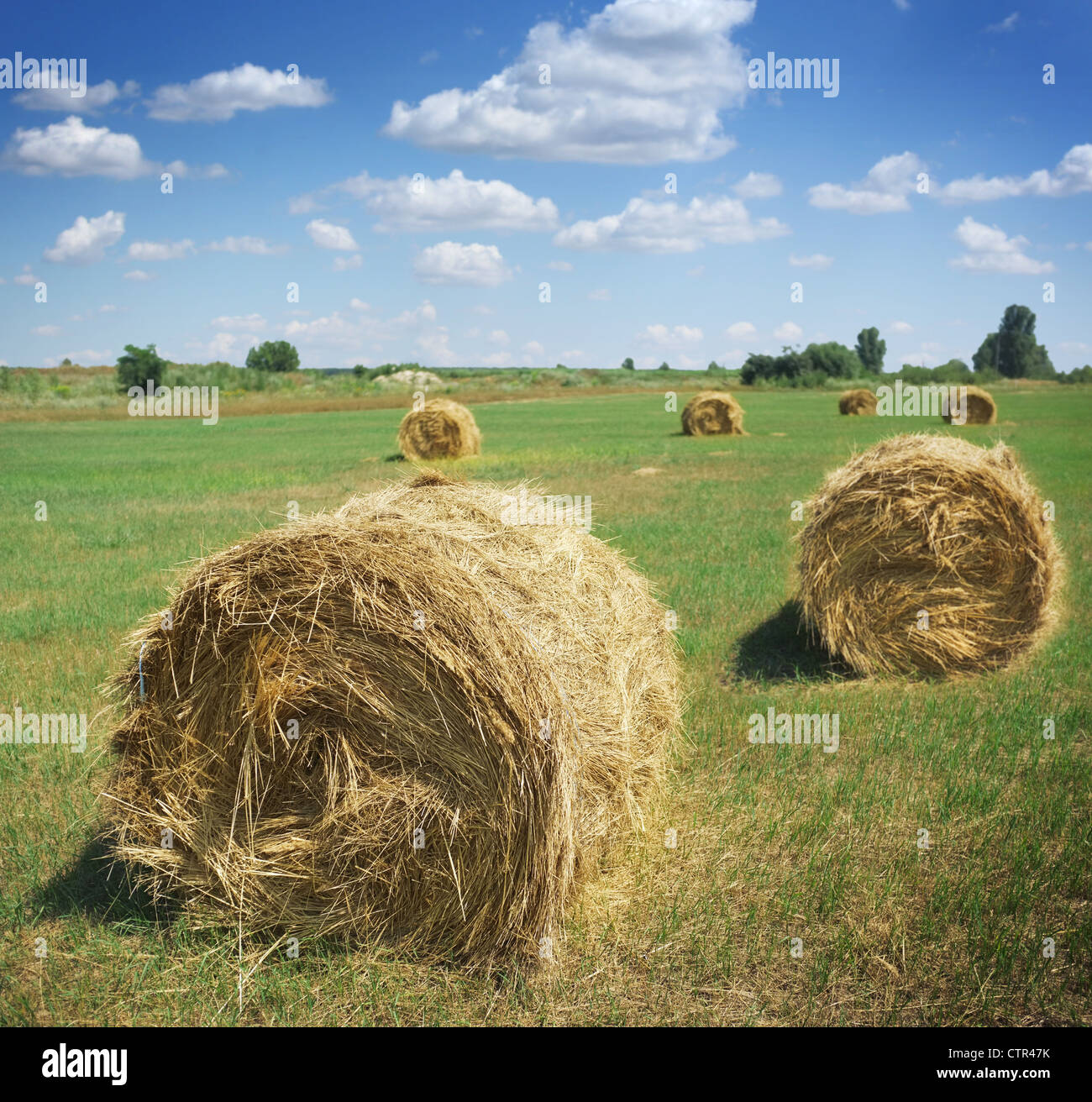 Field of haystacks hi-res stock photography and images - Alamy