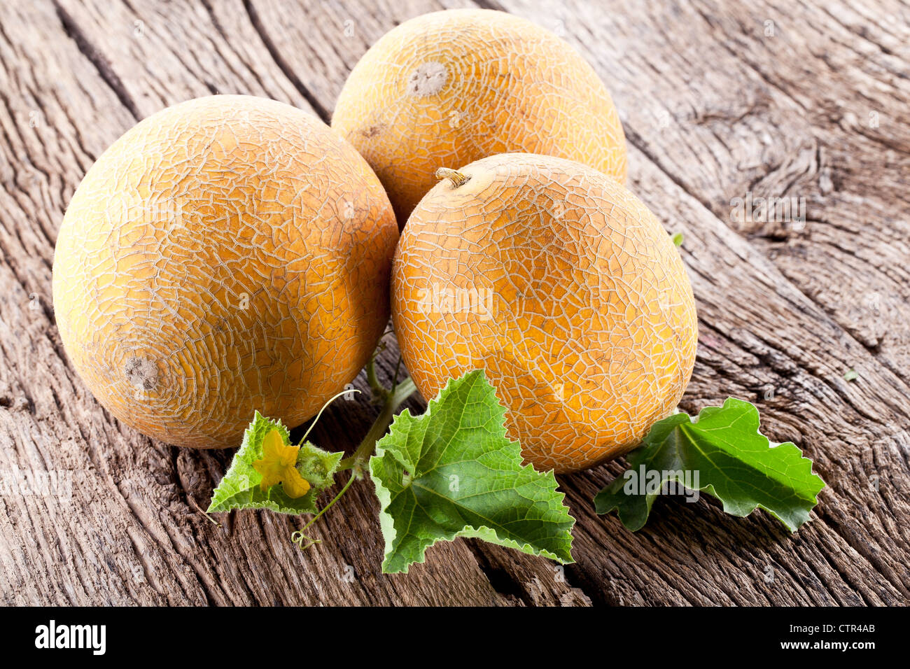 Three melon with the leaves on the old wooden table. Stock Photo