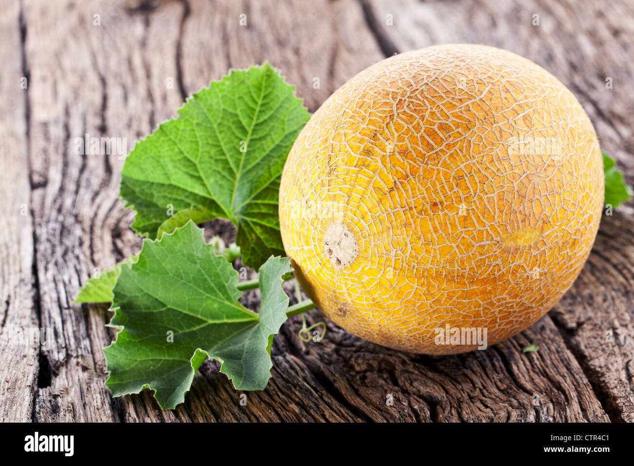 Melon with the leaves on the old wooden table. Stock Photo