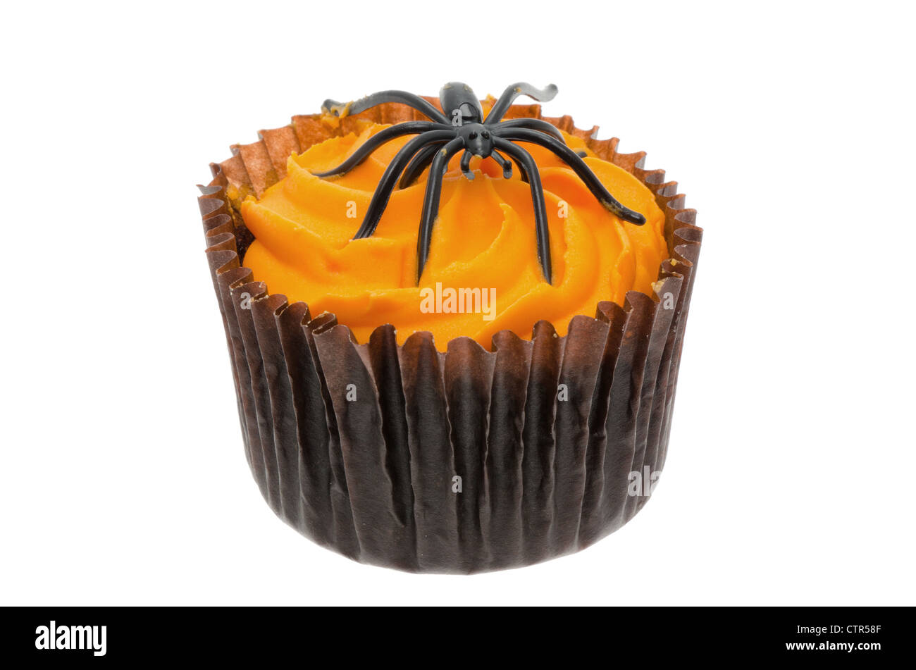 Halloween cupcake with a spider - shallow depth of field, studio shot with a white background Stock Photo