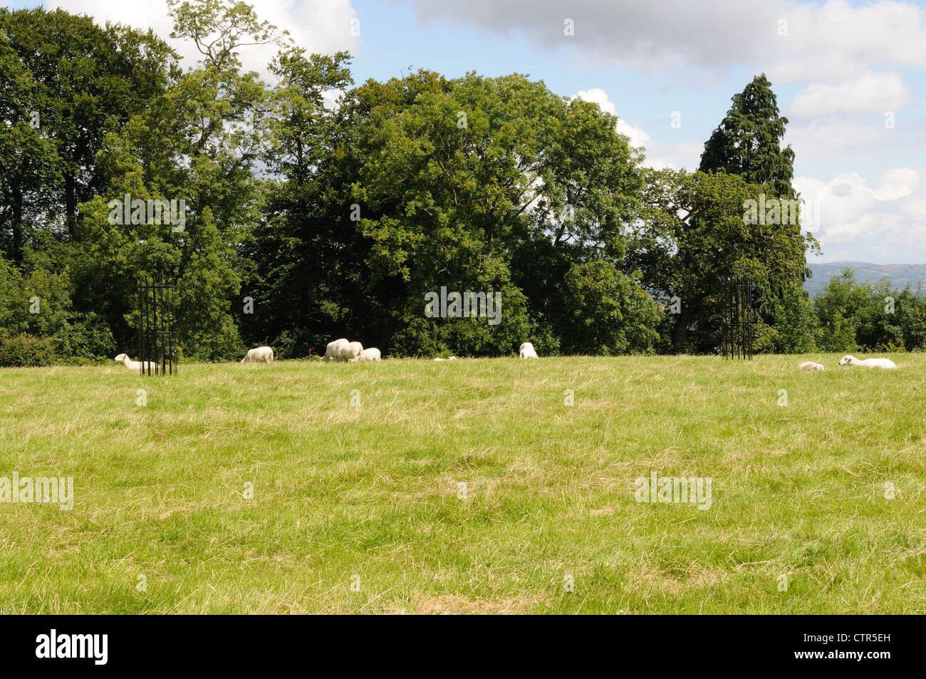 Natural burial ground hires stock photography and images Alamy