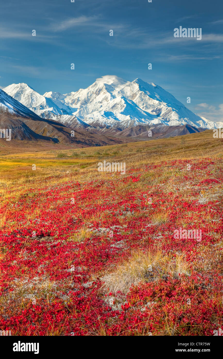 East side of Mt. McKinley with south summit hidden by a cloud, Denali National Park and Preserve, Alaska, Fall, HDR Stock Photo