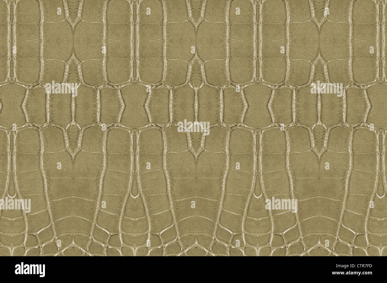 Crocodile Skin Pattern , Alligator skin seamless texture Stock Photo ...
