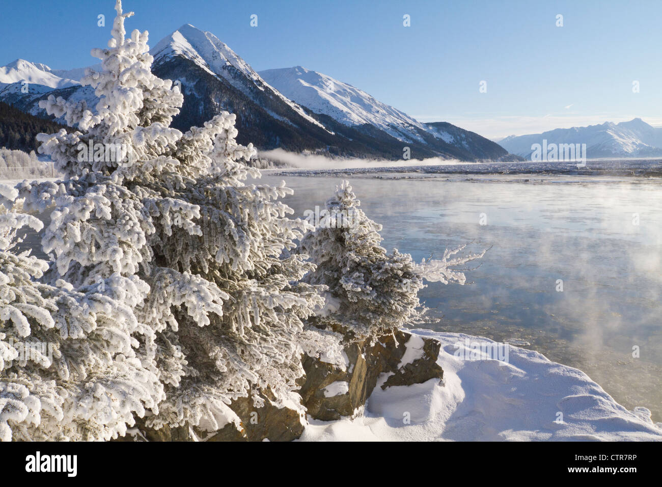 A hoarfrosted winter scene next to the Seward Highway at Mile 87.4, Turnagain Arm, Southcentral Alaska, Winter Stock Photo