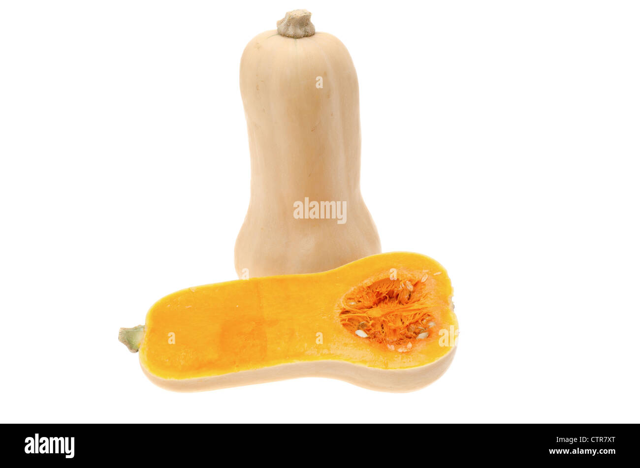 Butternut squash - shot in the studio with a white background Stock Photo