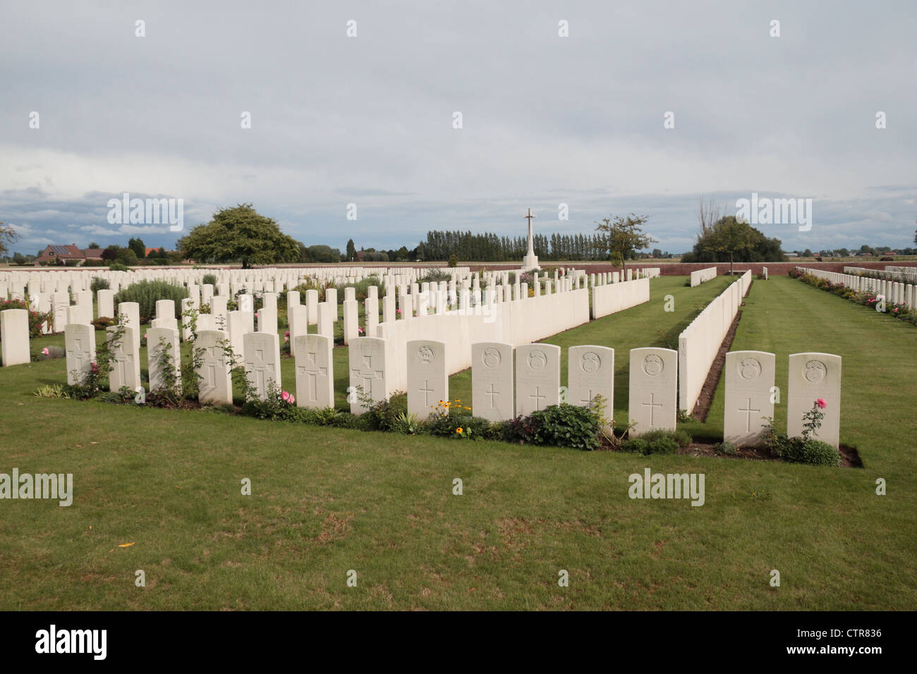 Lines Of Military Headstones High Resolution Stock Photography and ...