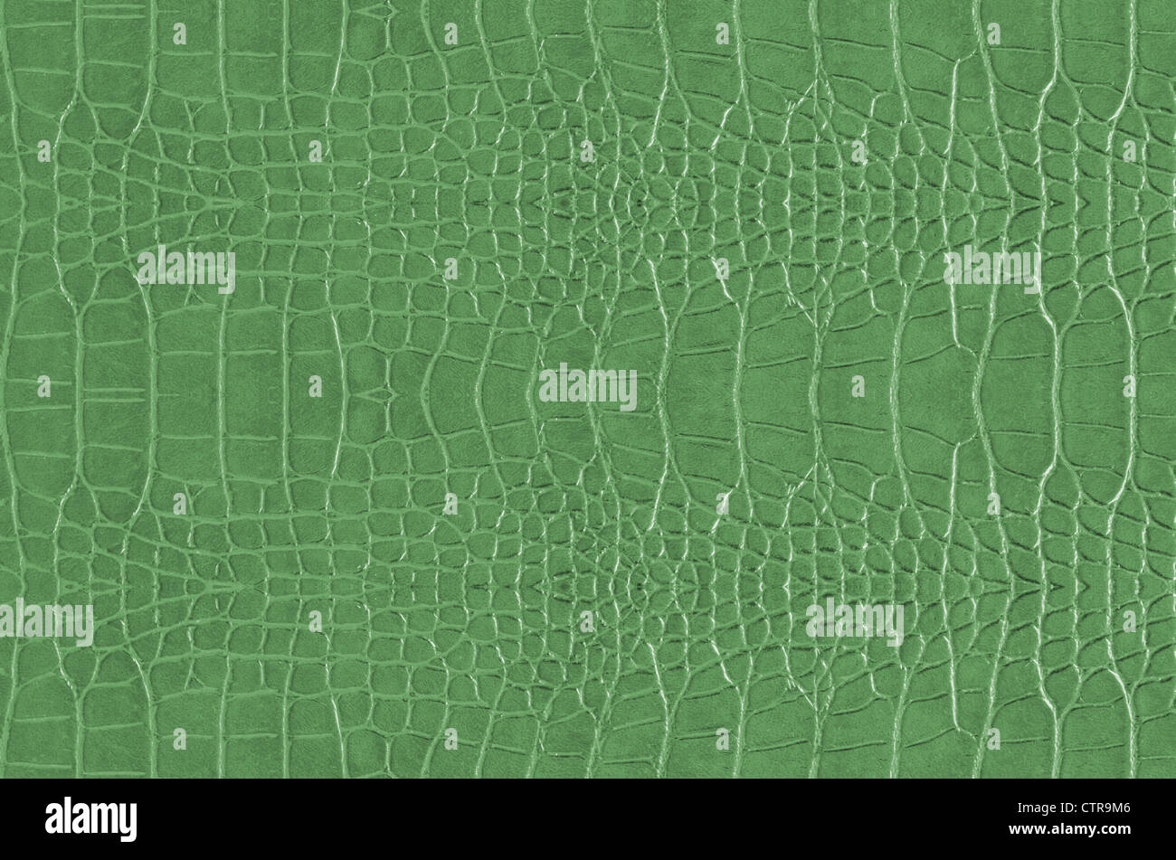 Crocodile Skin Pattern , Alligator skin seamless texture Stock Photo ...