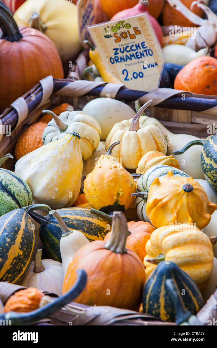 Gourds gourd ornamental hires stock photography and images Alamy
