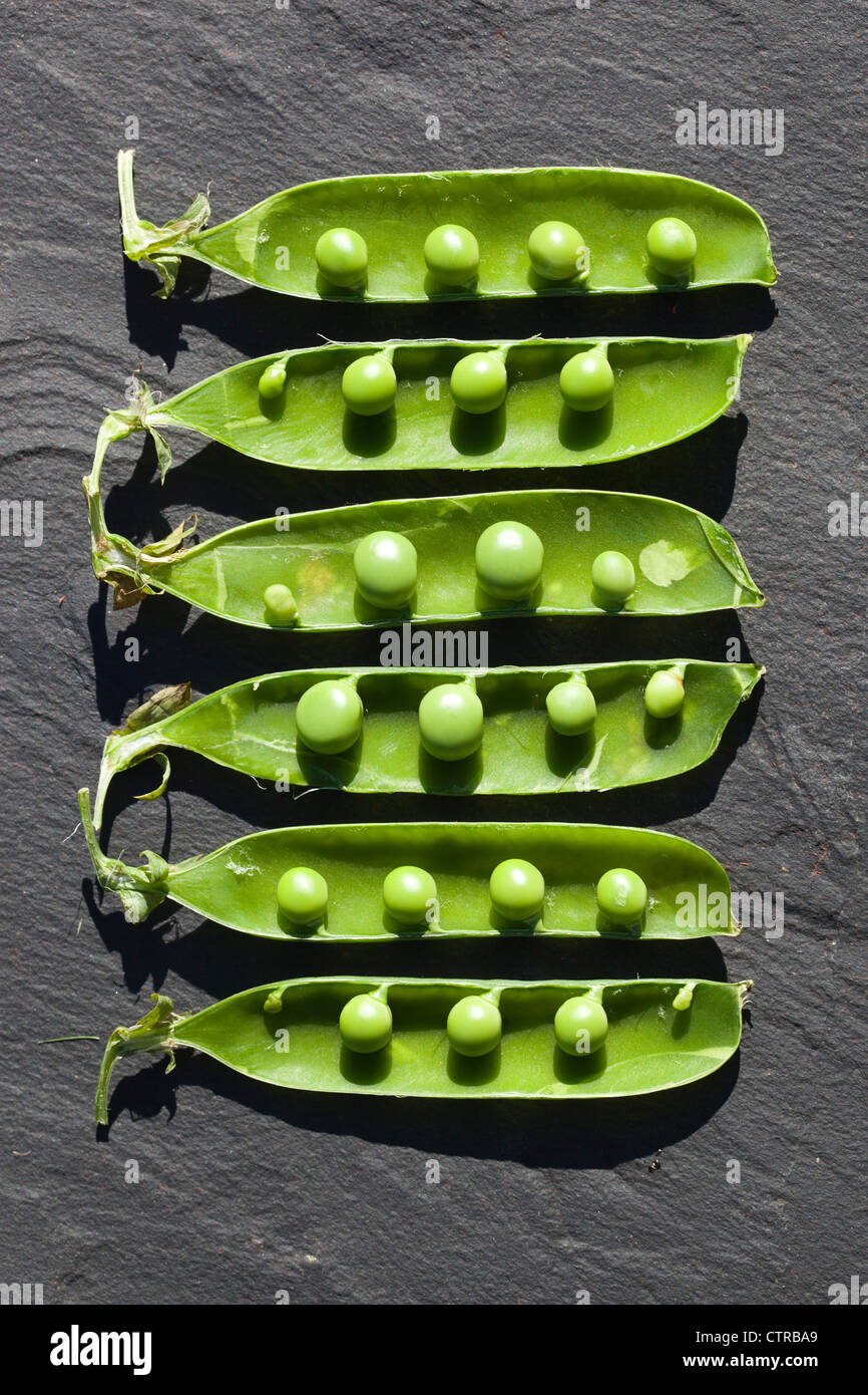 Fresh peas in their pods Stock Photo
