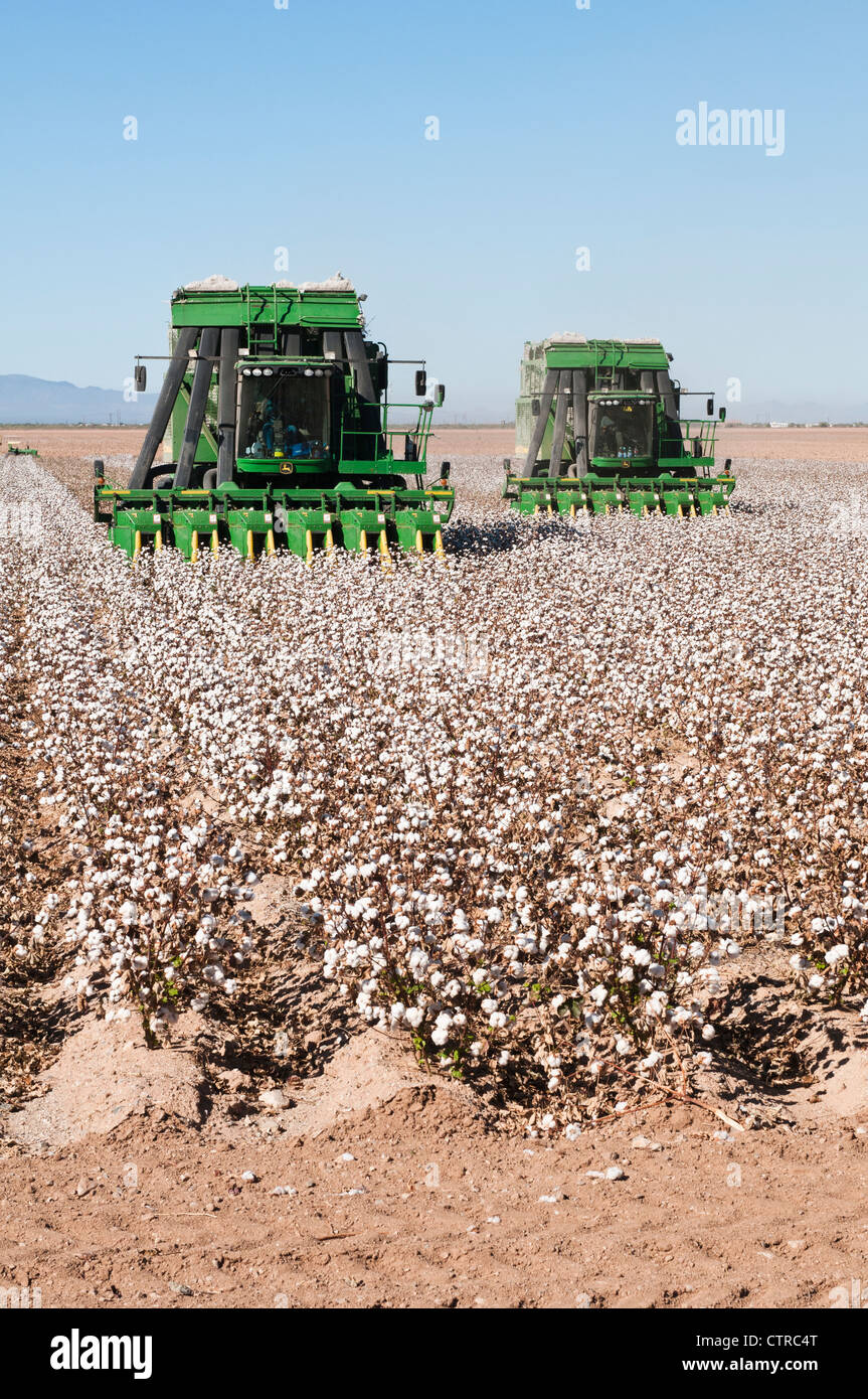 Arizona cotton pickers hires stock photography and images Alamy