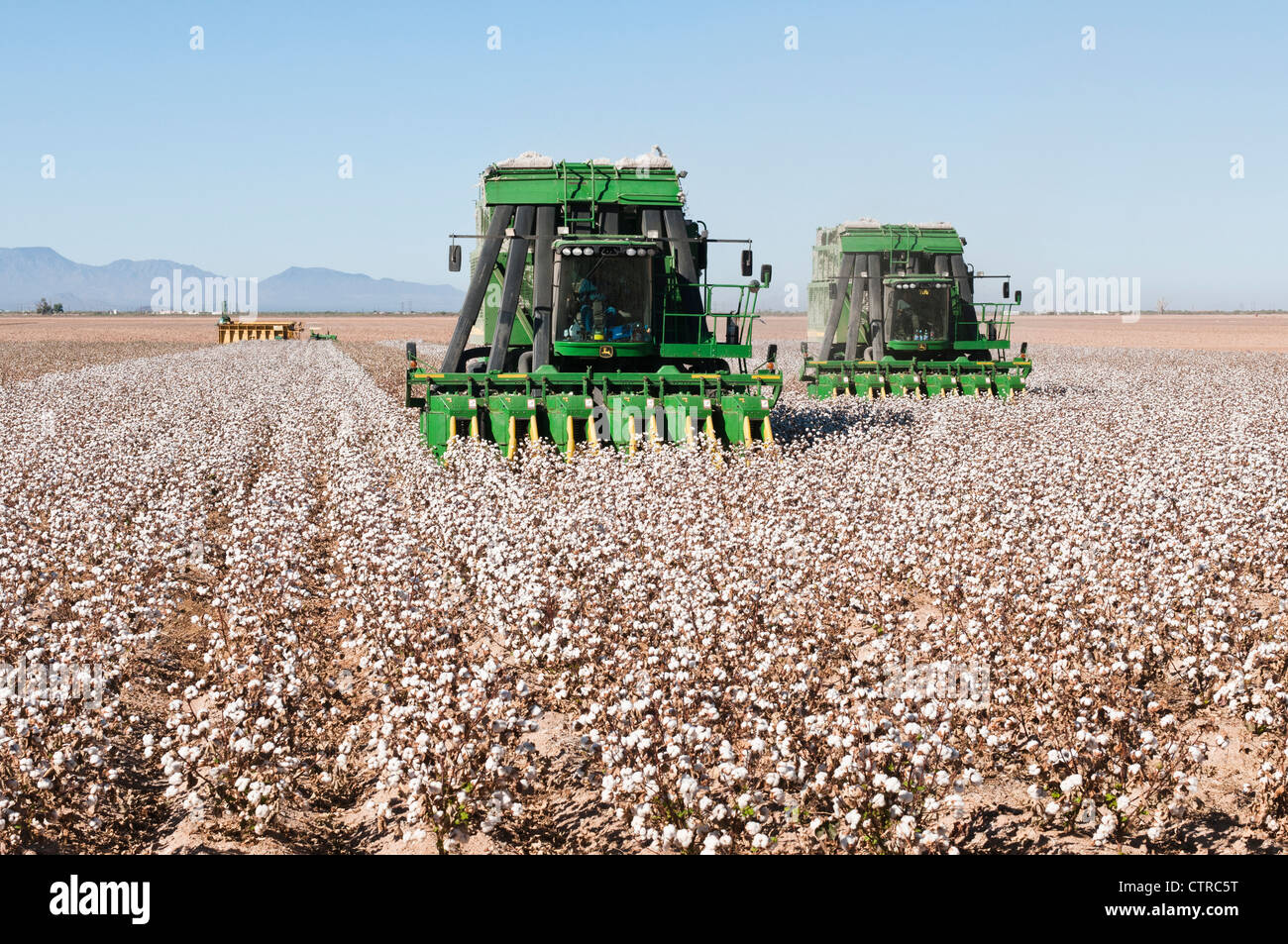 A pair of cotton picking machines harvest a cotton field in Arizona. A module packing machine is shown in the background. Stock Photo