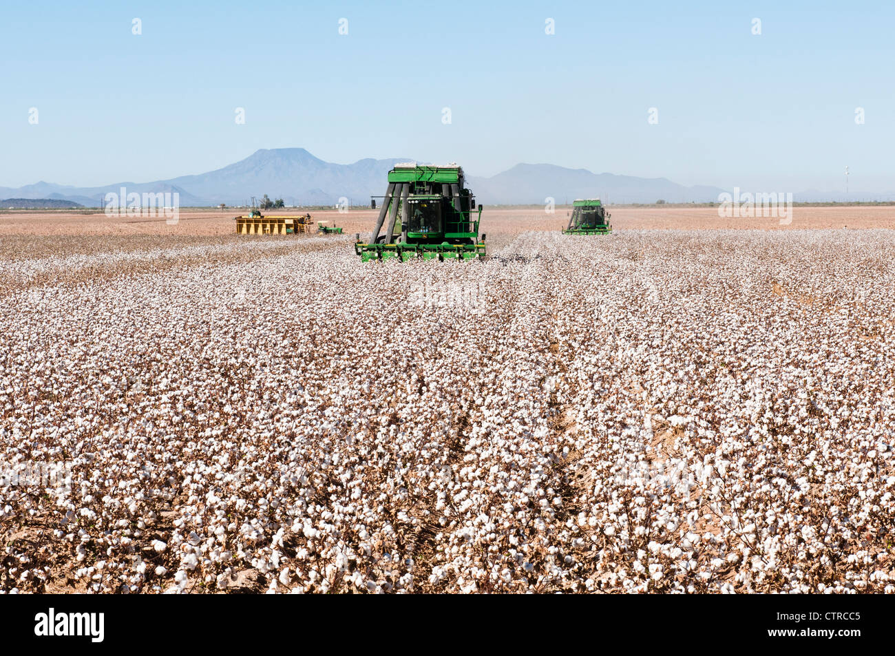 Cotton field pickers hires stock photography and images Alamy