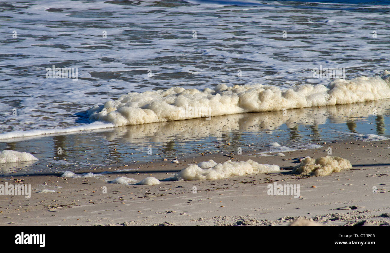 Frothy sea hi-res stock photography and images - Alamy Frothy sea hi-res stock photography and images - Alamy