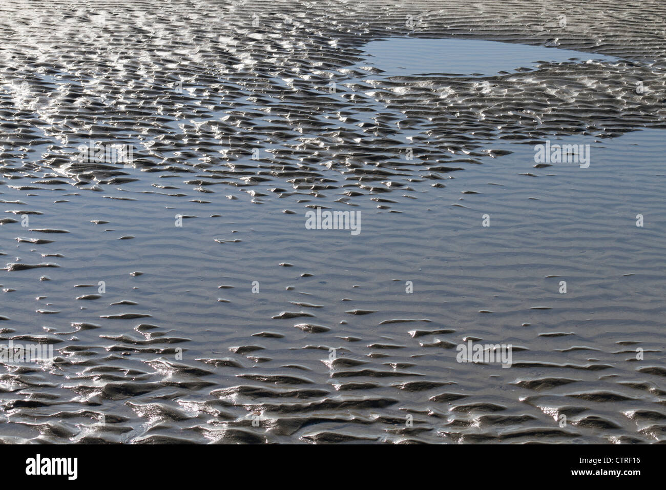 Close up of a tide pool with sand ripples Stock Photo