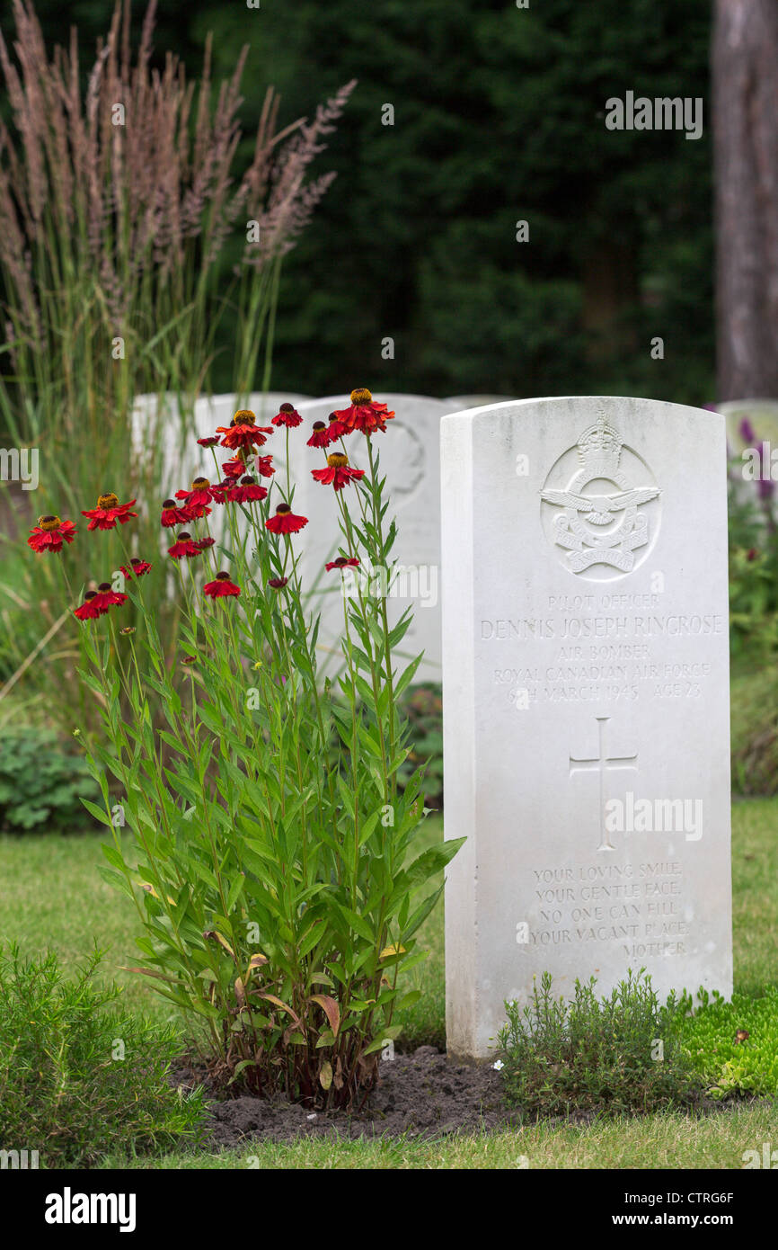 Flowers in bloom around a Royal Canadian Air Force military grave marker at Brookwood Cemetery Stock Photo
