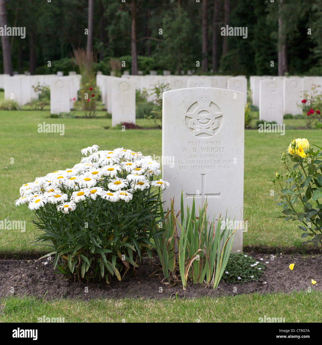 Flowers in bloom around the Canadian military grave markers at Brookwood Cemetery Stock Photo