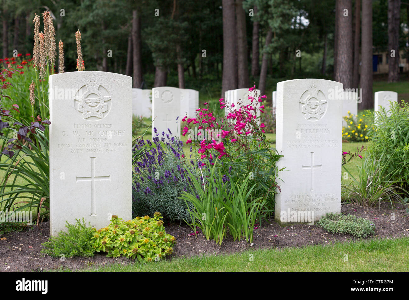 Flowers in bloom around the military grave markers at Brookwood Cemetery Stock Photo