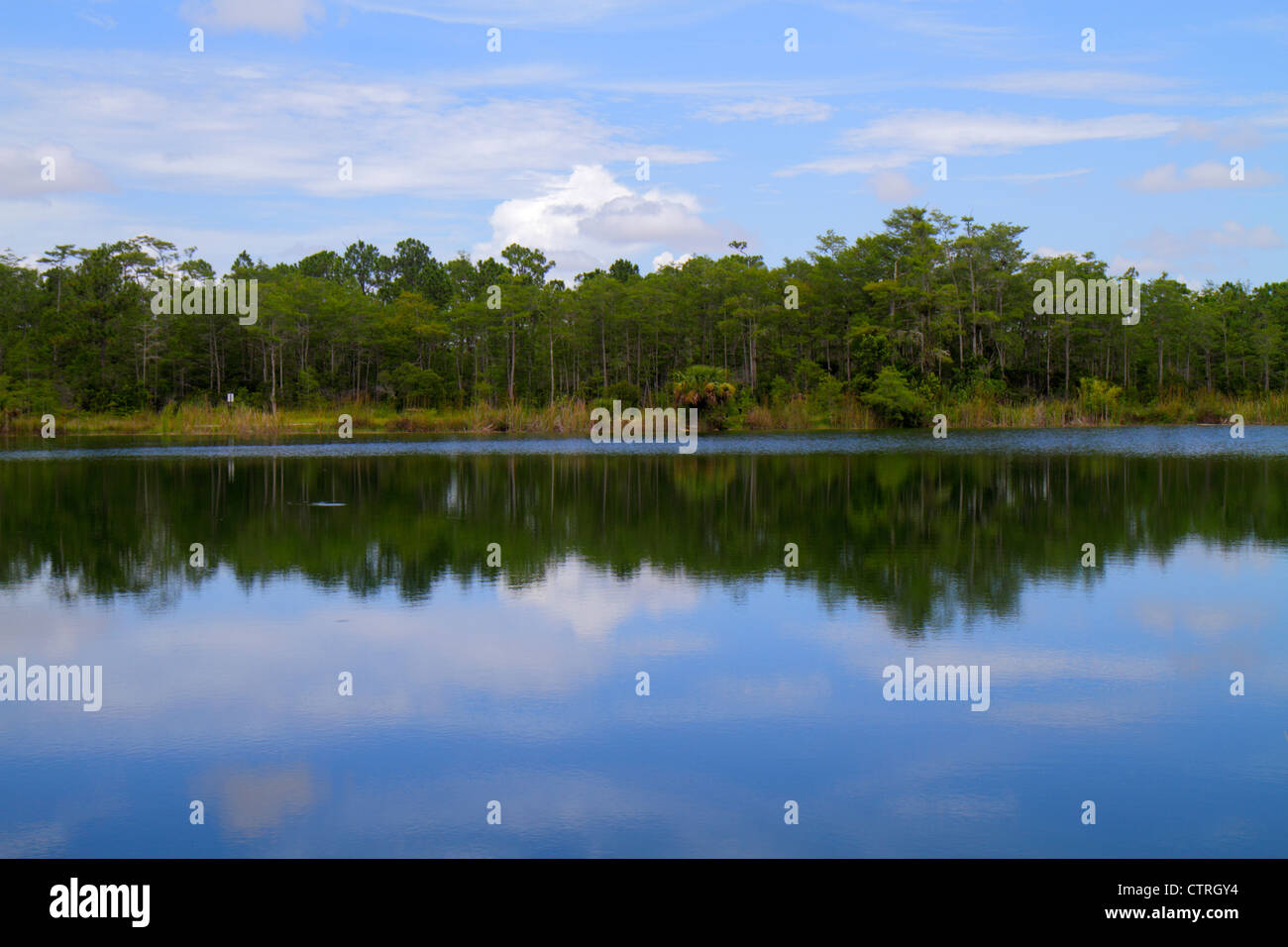 Florida The Everglades,Big Cypress National Preserve,Tamiami Trail