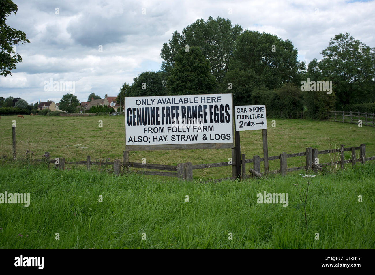 Free Range Eggs For Sale Sign Stock Photo Alamy