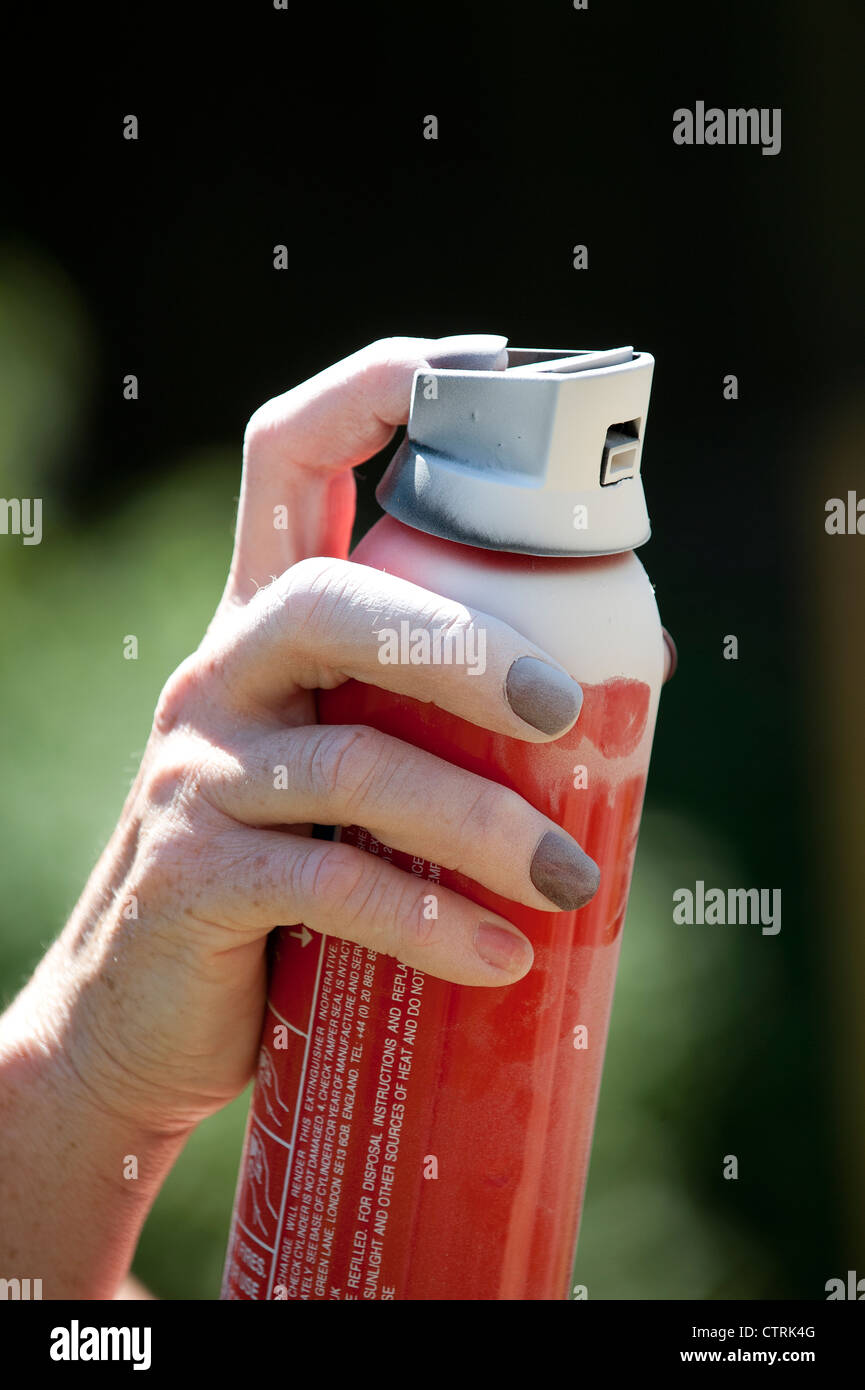 Woman holding a dry powder fire extinguisher which has been discharged Stock Photo