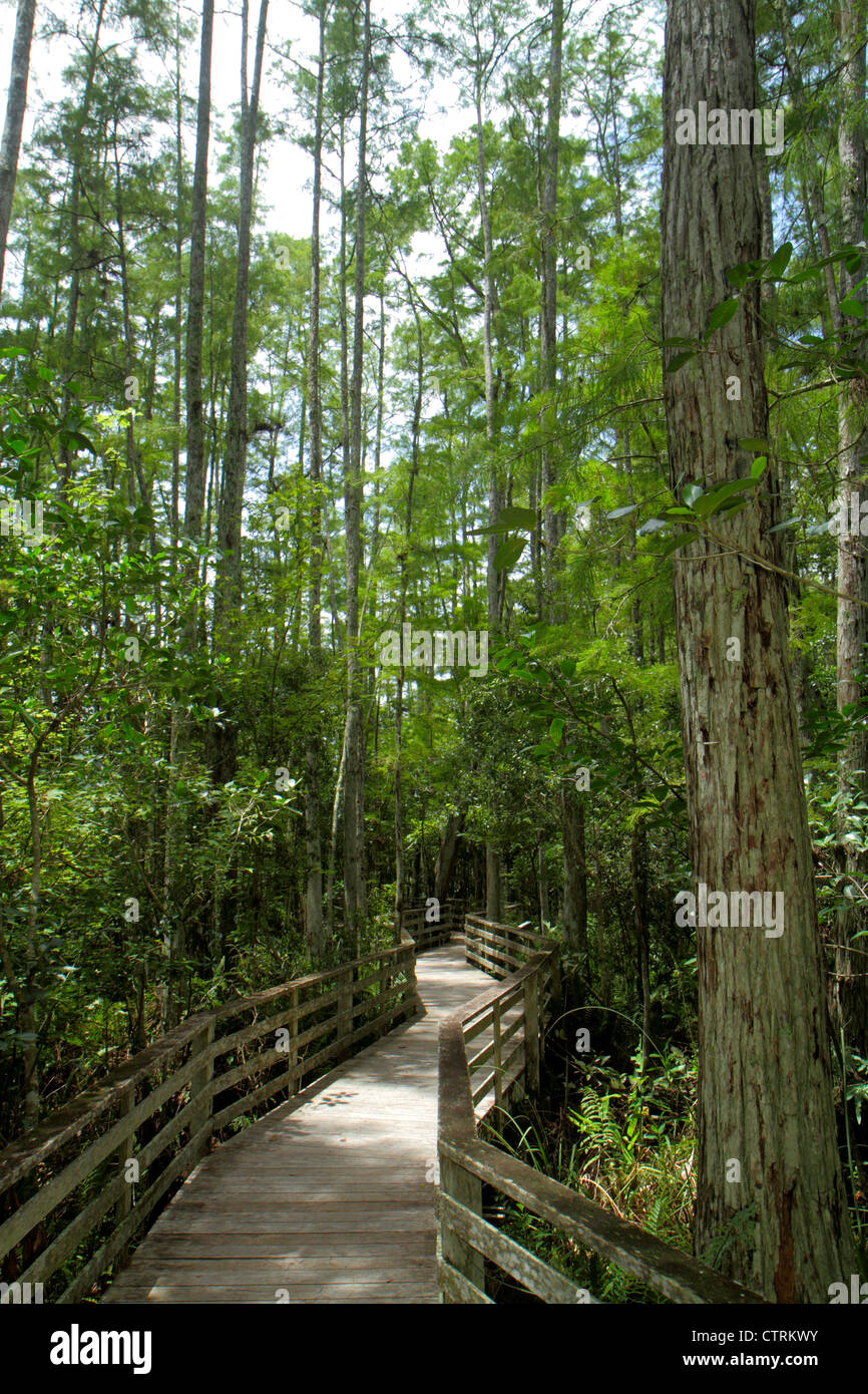 Naples Everglades Florida Corkscrew Swamp Sanctuary & Blair Audubon