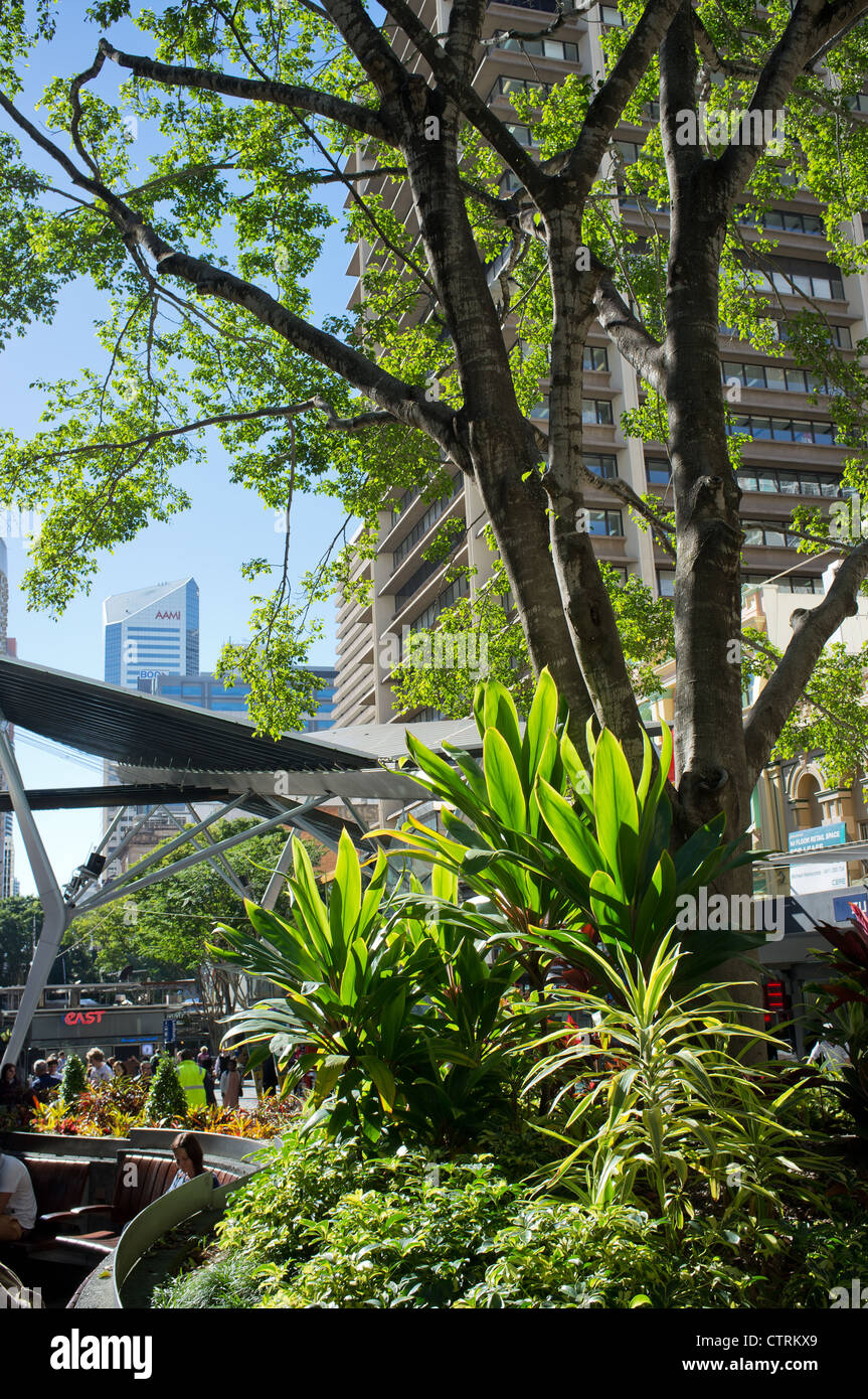 Queen Street Mall in the centre of Brisbane Stock Photo