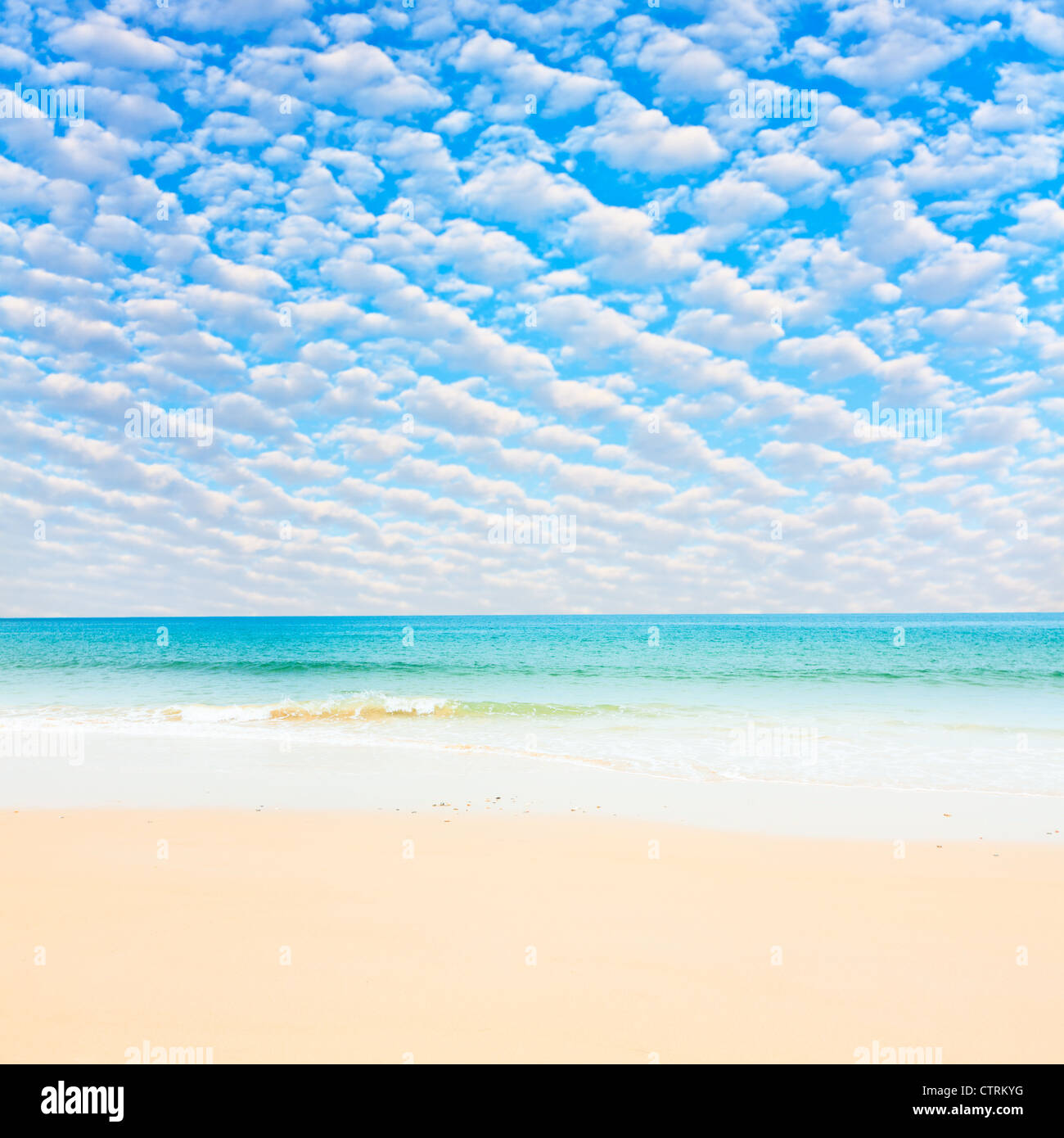 Tropical sandy beach at summer sunny day Stock Photo - Alamy