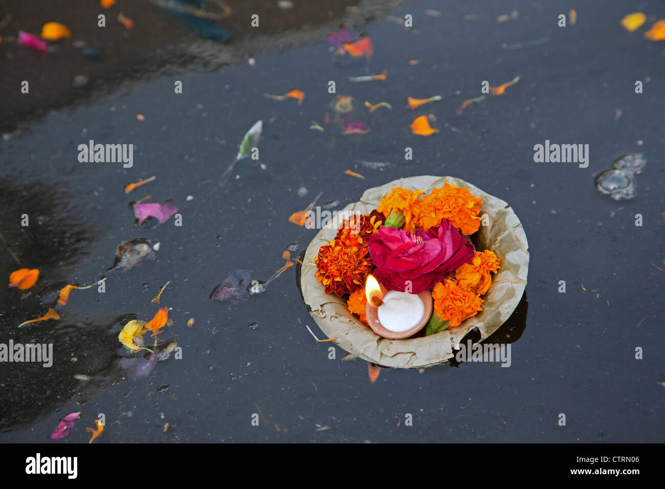 Offerings like flowers and candle floating on the sacred Yamuna river in Mathura, Uttar Pradesh, India Stock Photo