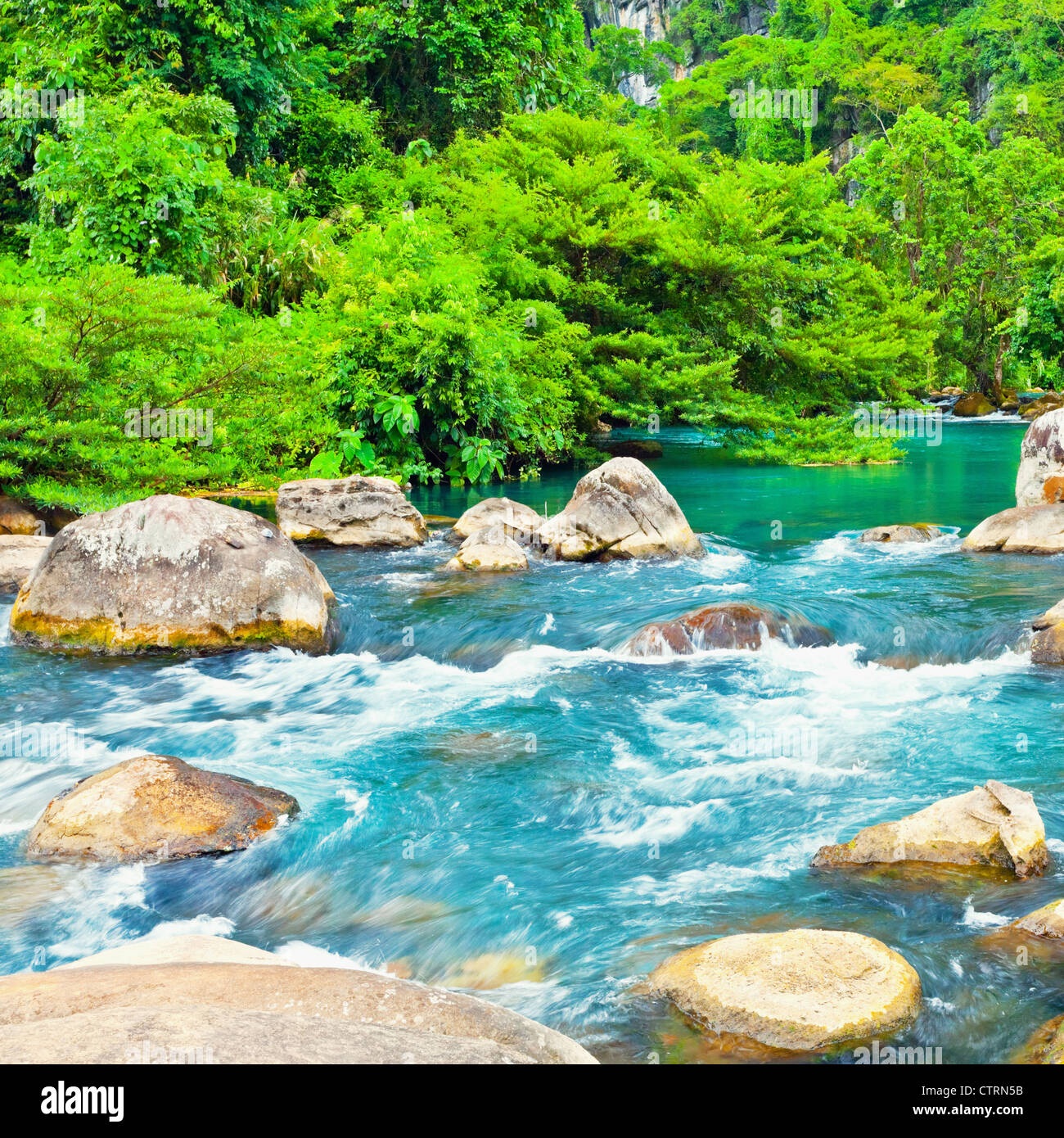 Blue water stream. Phong Nha - Ke Bang National Park. Vietnam Stock Photo