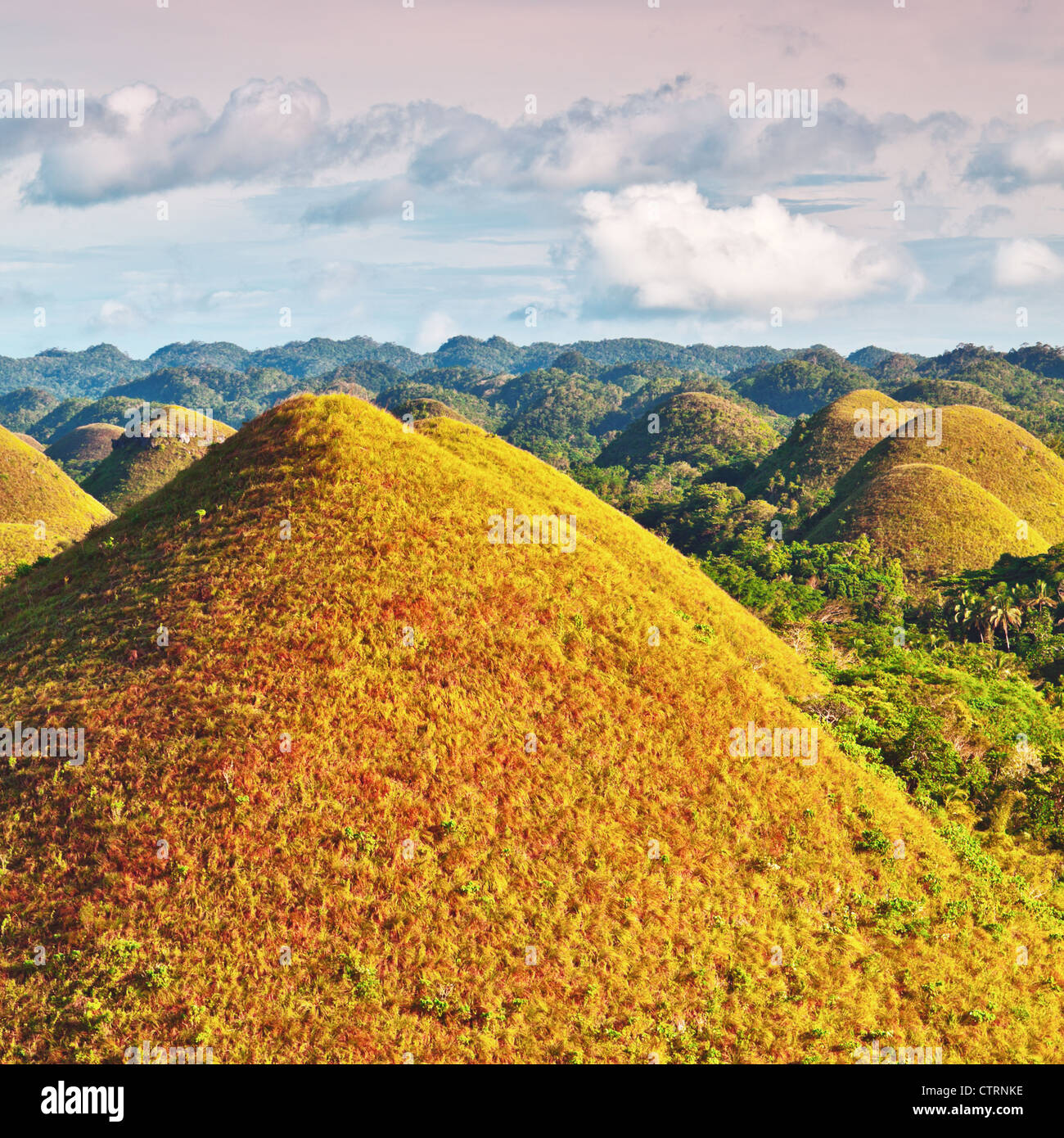 The Magnificent Chocolate Hills of Bohol in the Philippines - Unusual Places