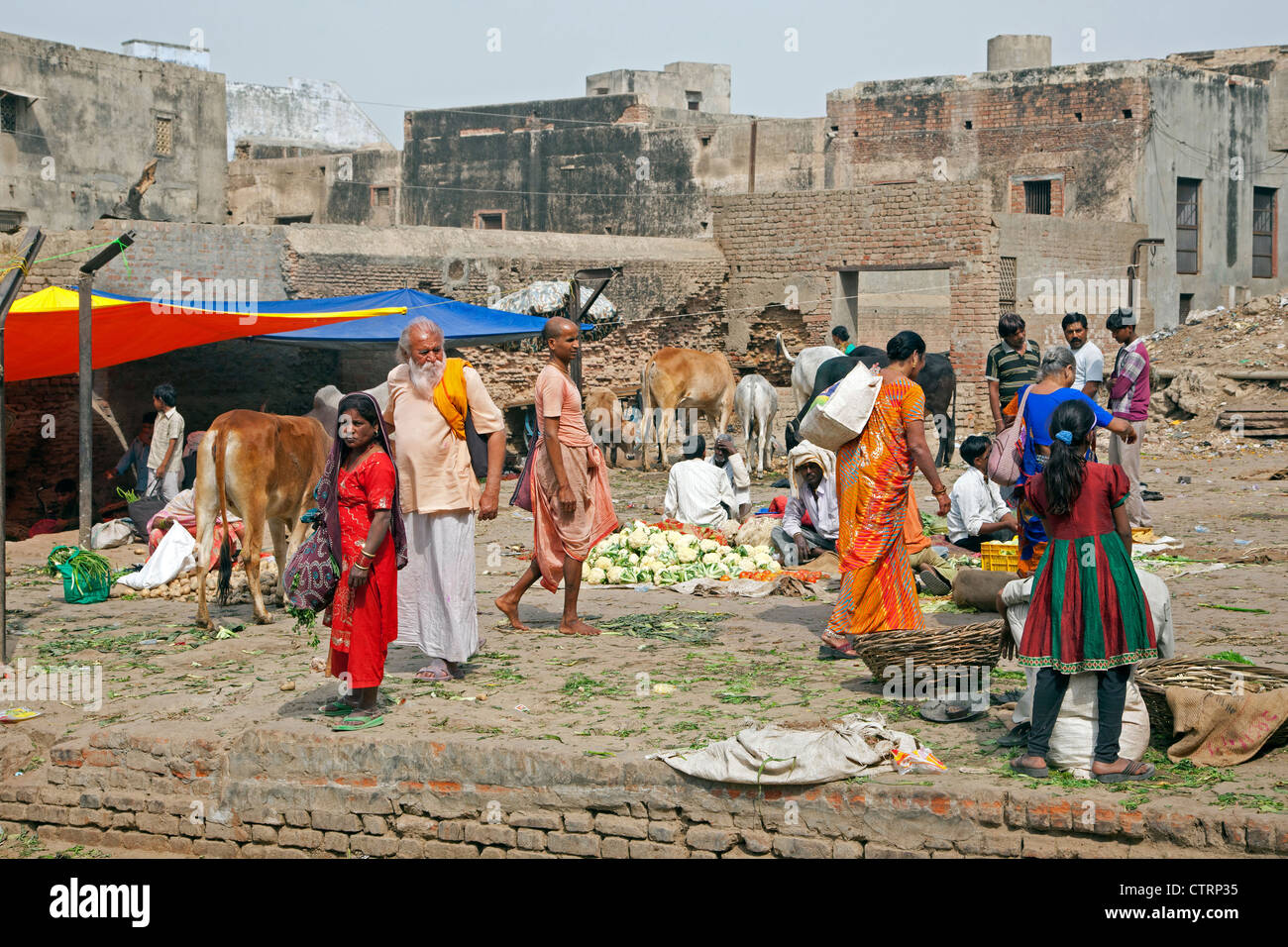 Women dressed in saris shopping for vegetables at market in Vrindavan, Uttar Pradesh, India Stock Photo
