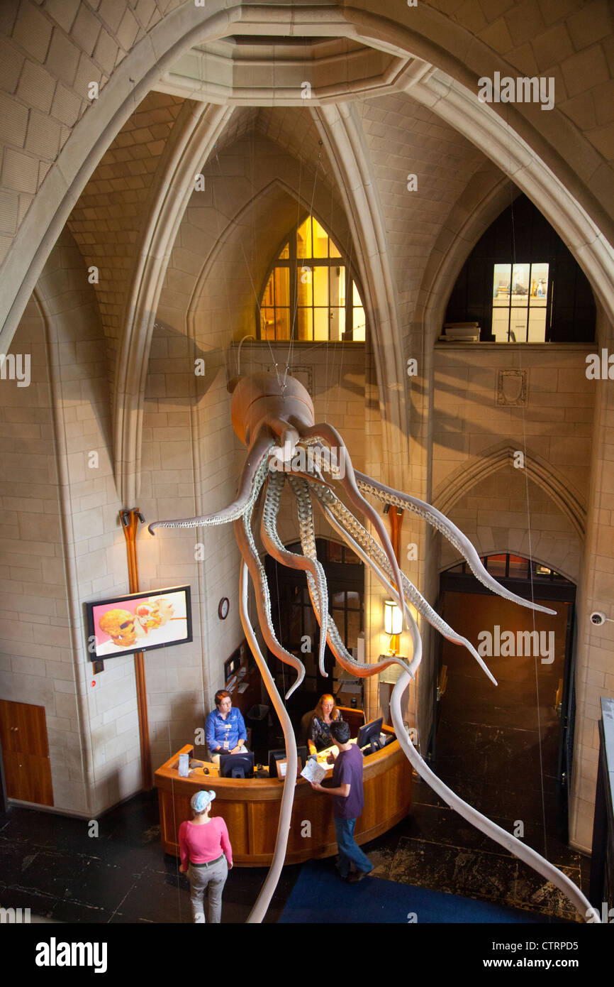 Peabody Museum of Natural History Yale University Stock Photo