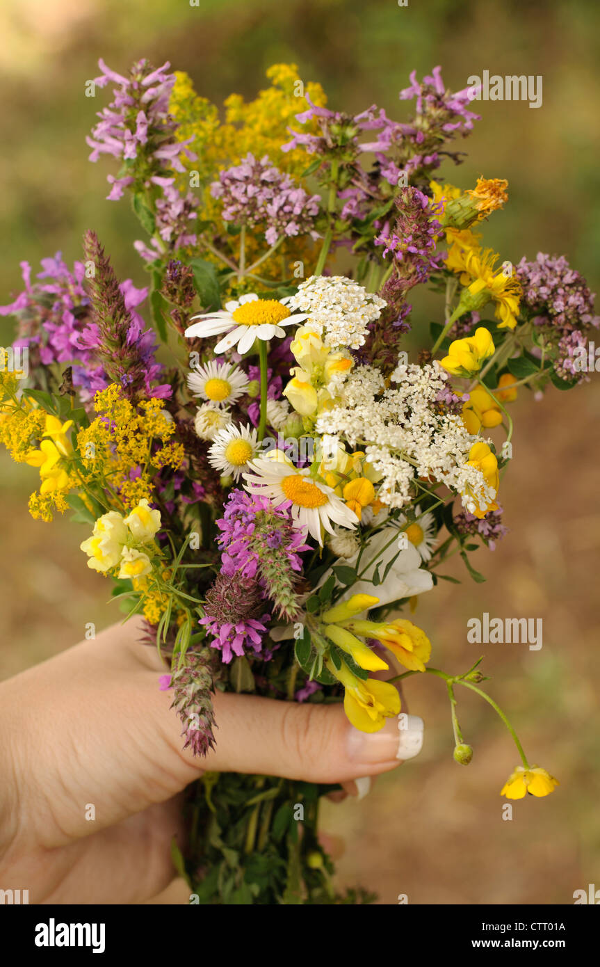 Wild flower bouquet hi-res stock photography and images - Alamy