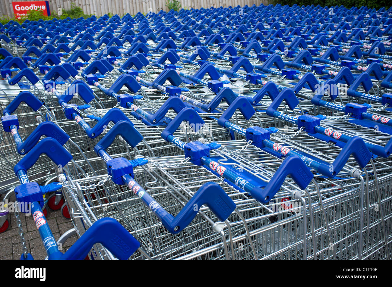 Supermarket Trolleys at Tesco Stock Photo