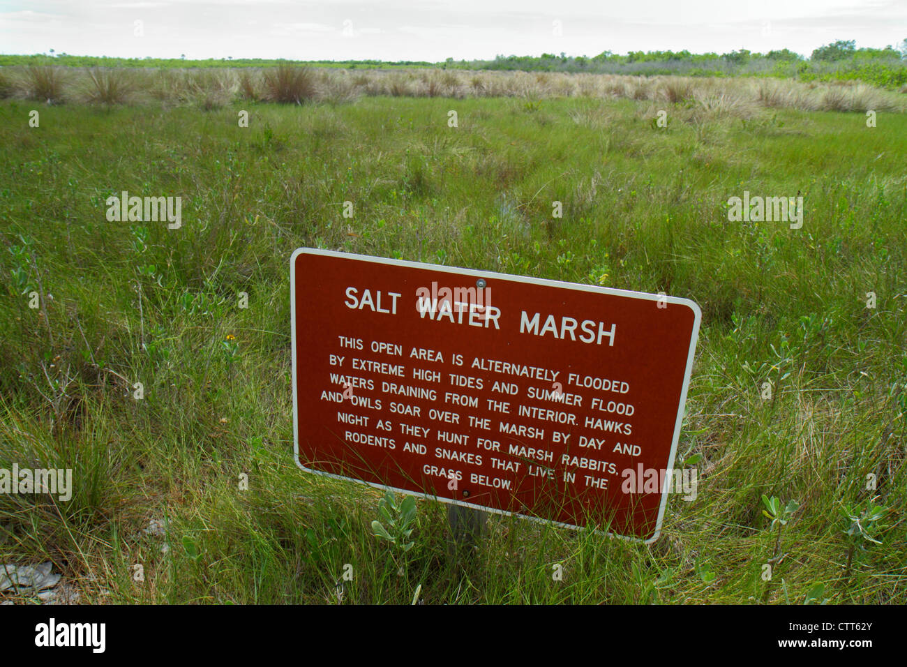 Naples Florida,Tamiami Trail,Collier Seminole State Park,Everglades