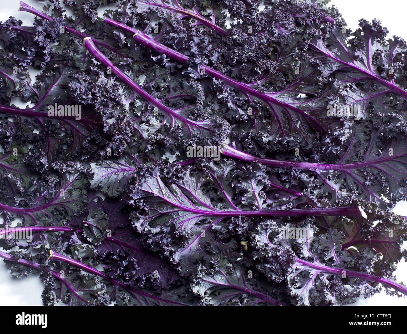 Purple kale hires stock photography and images Alamy
