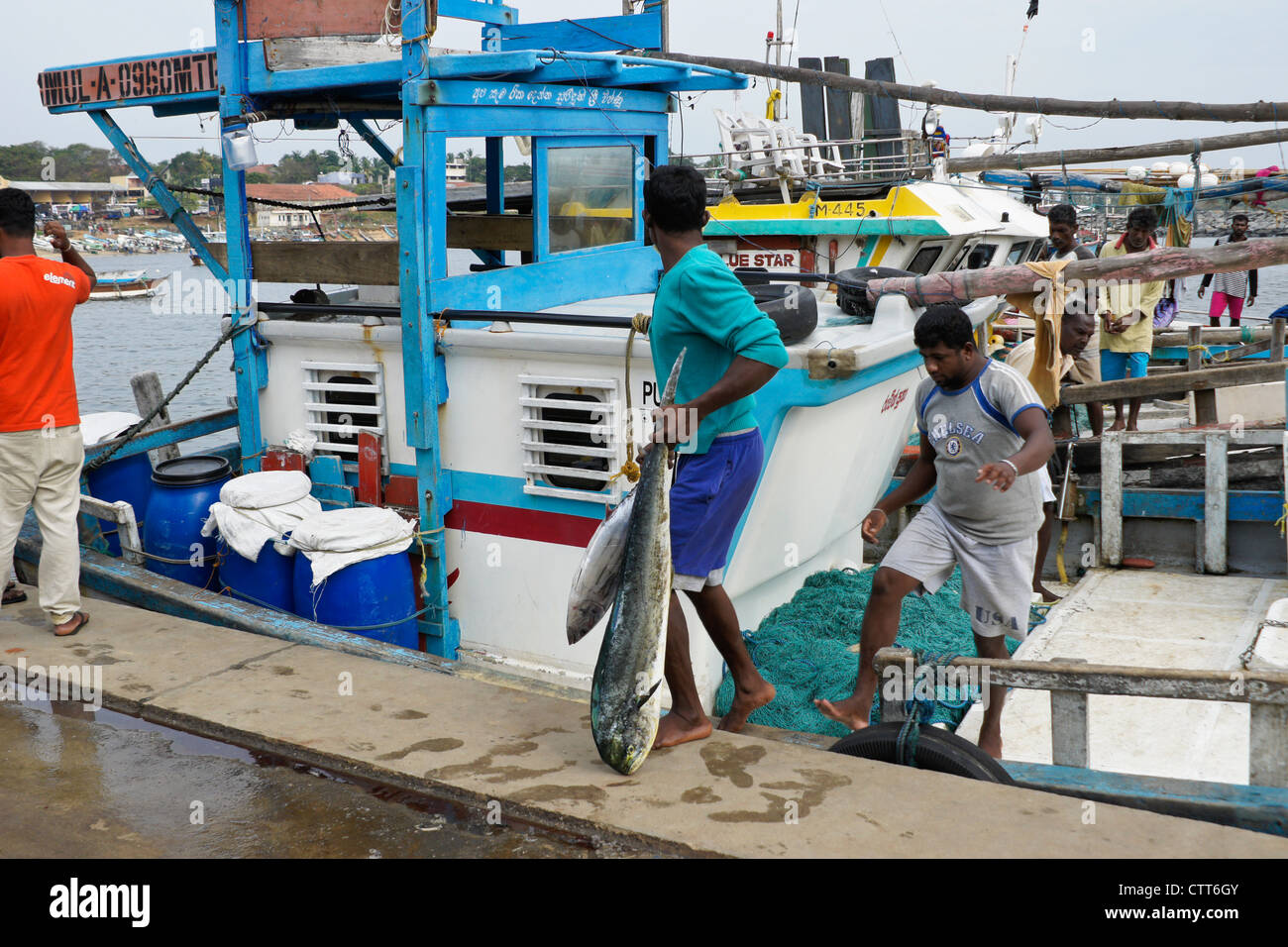 Men unloading catch from fishing boat, Hambantota, Sri Lanka Stock Photo
