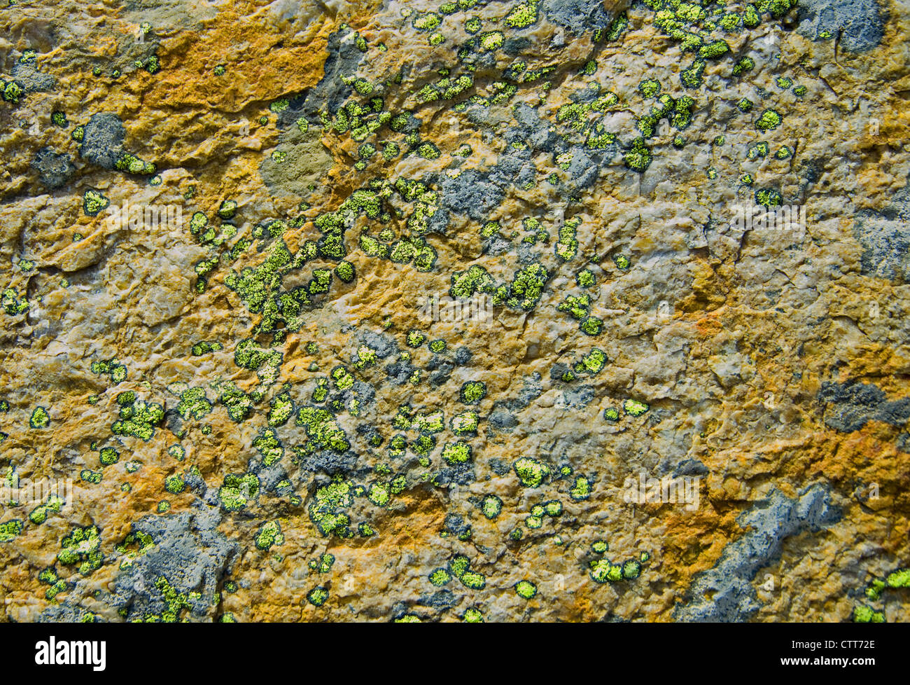 Colorful stone surface hi-res stock photography and images - Alamy