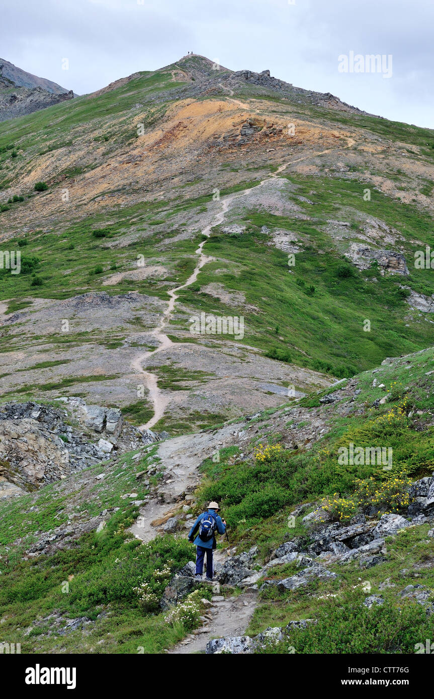 A young boy hiking up Mt Healy trail. Denali National Park and Preserve