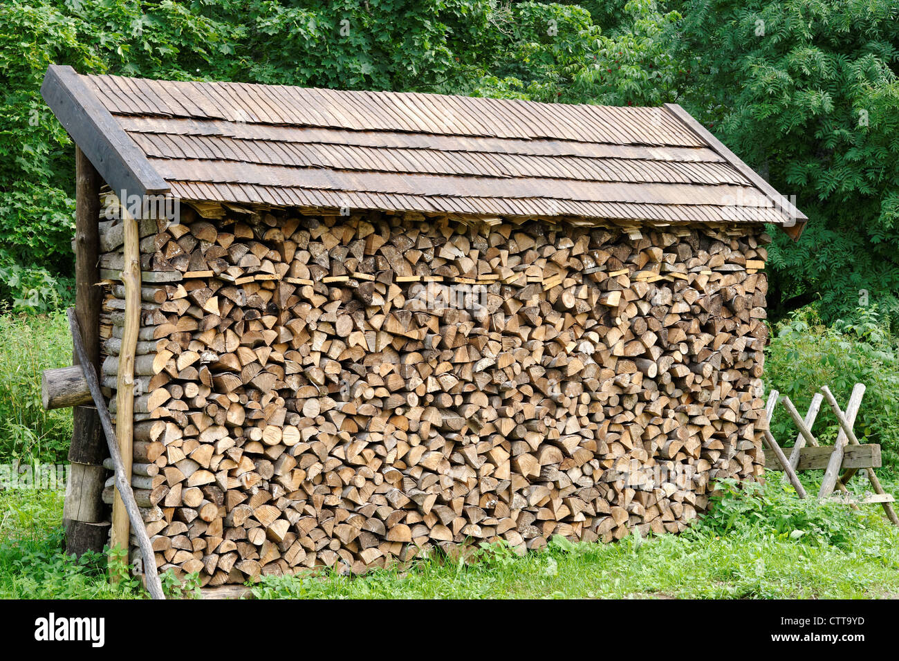 Pile of fuelwood with tared wooden roof Stock Photo