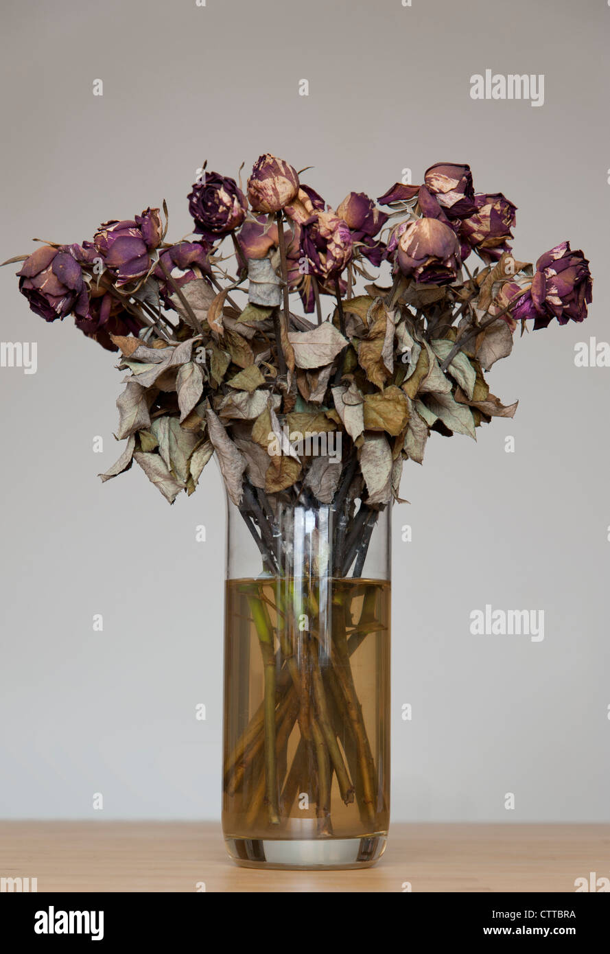 Dead flowers in vase hi-res stock photography and images - Alamy