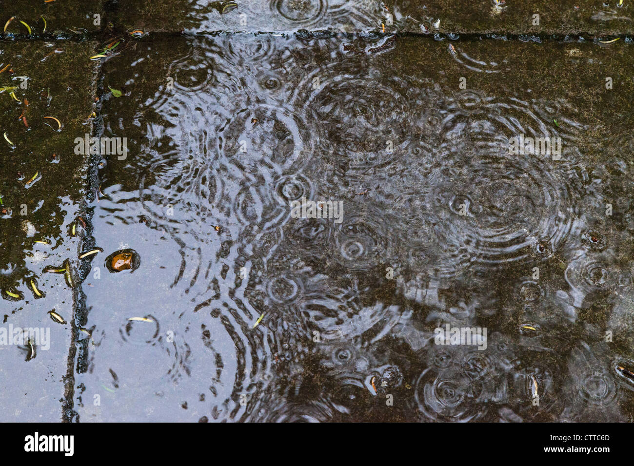 Heavy raindrops falling on paving stones in garden, causing ripples in June garden UK. Stock Photo