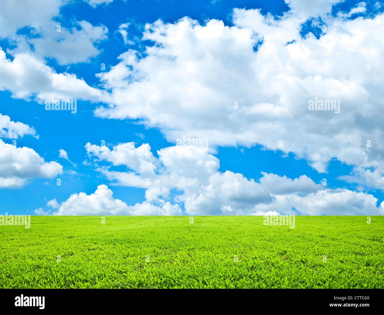 Beautiful green field and blue sky - natural landscape view Stock Photo ...