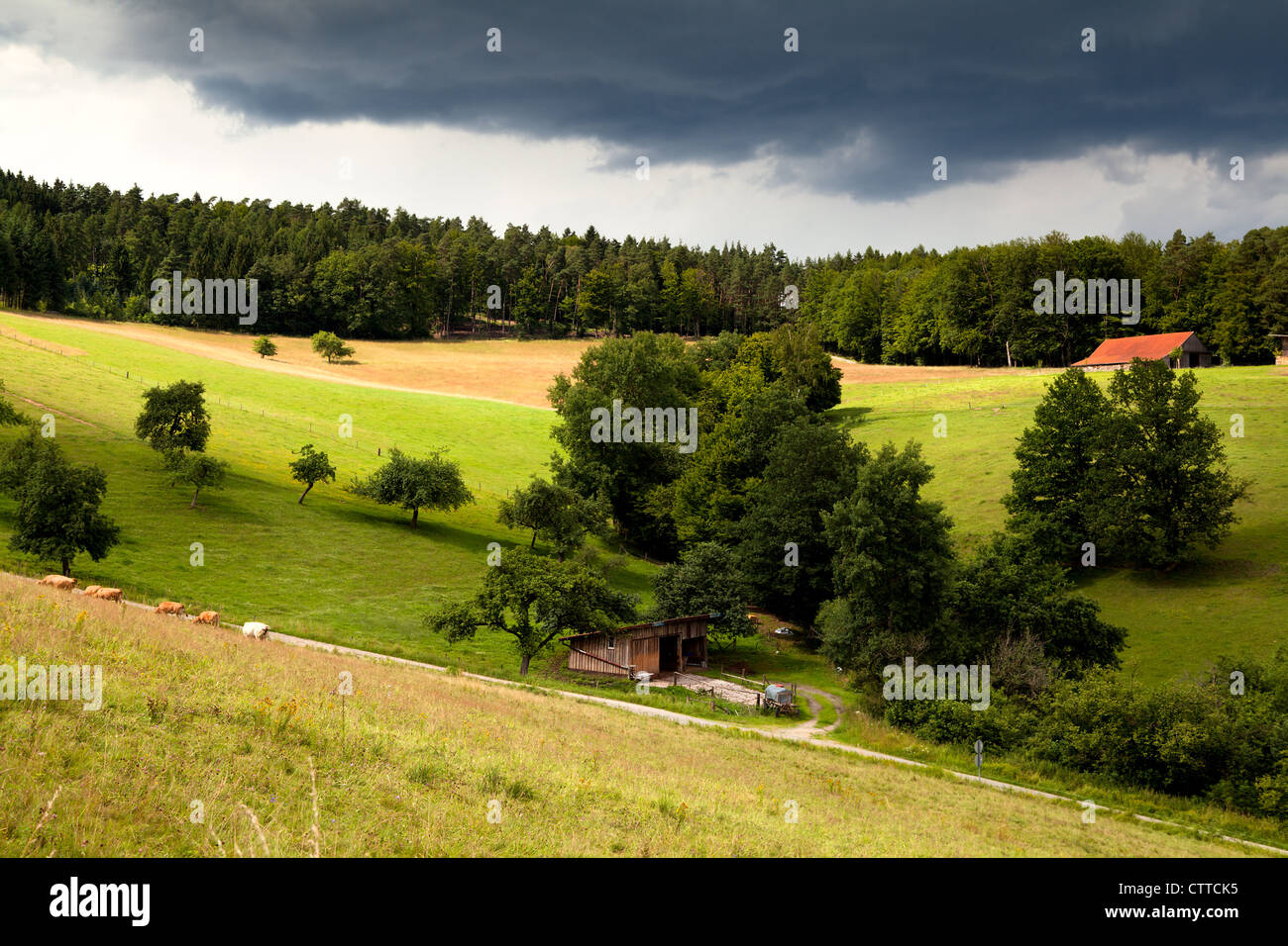 wooden farmhouse on summer Bavarian meadows Stock Photo