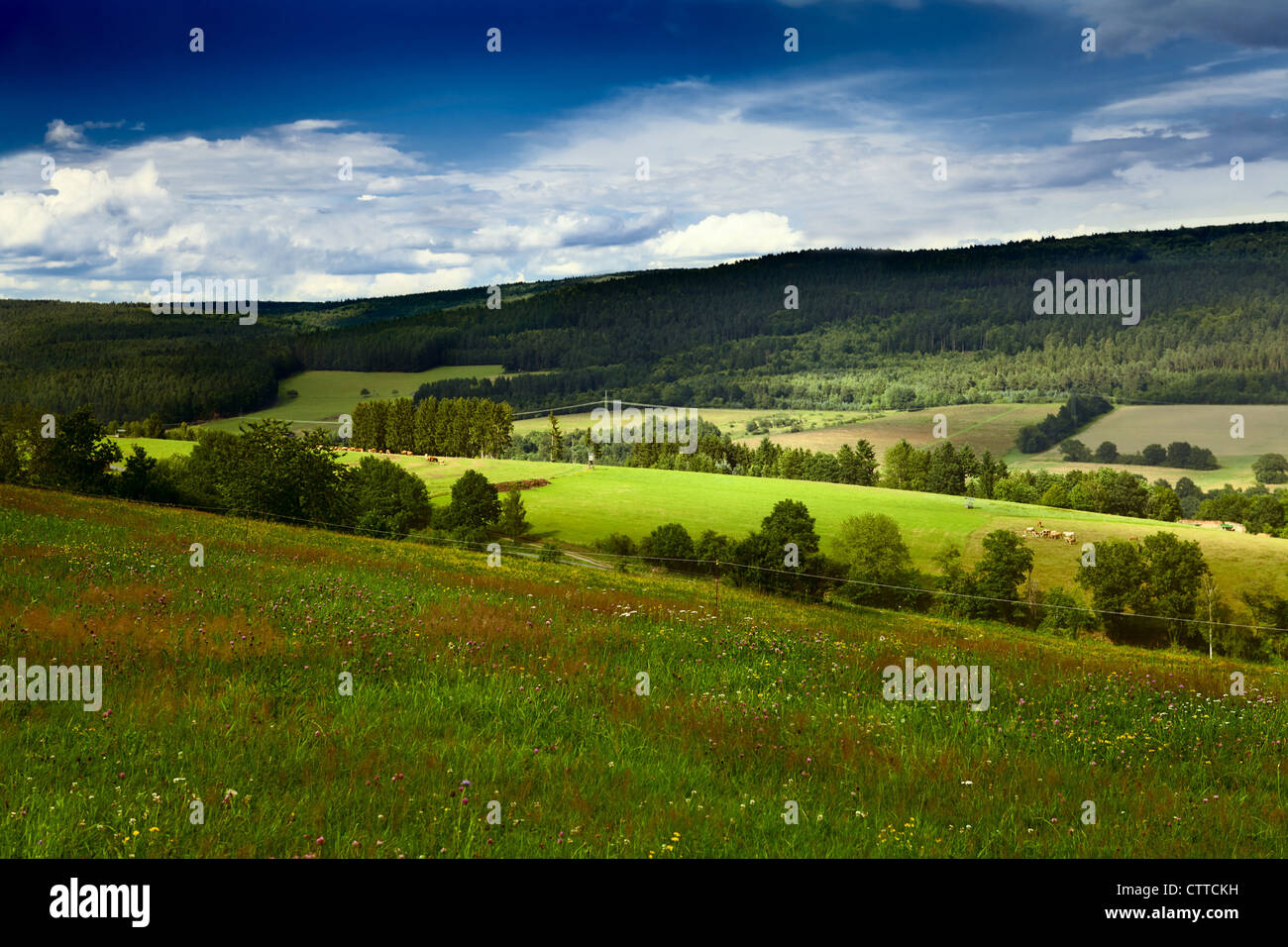 summer green meadows in mountains in Burgsinn, Bavaria Stock Photo