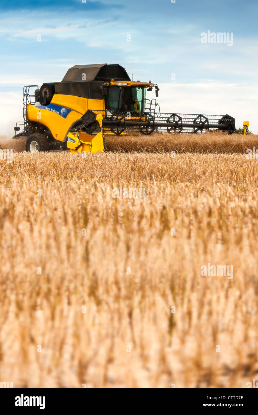 Modern combine harvester uk hi-res stock photography and images - Alamy