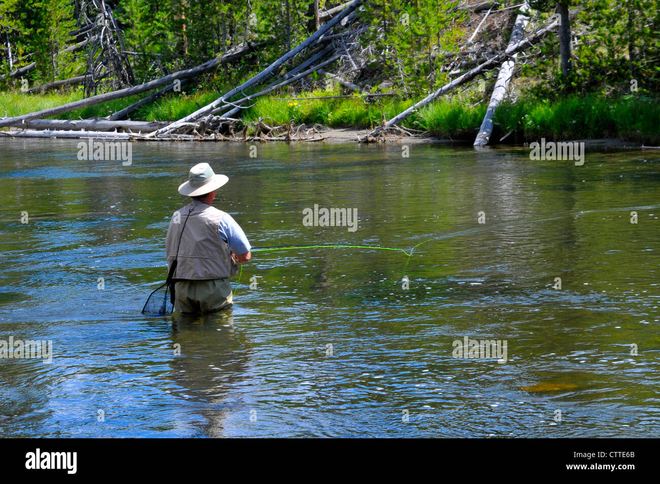 Fly Fishing Yellowstone National Park Wyoming WY United States Stock