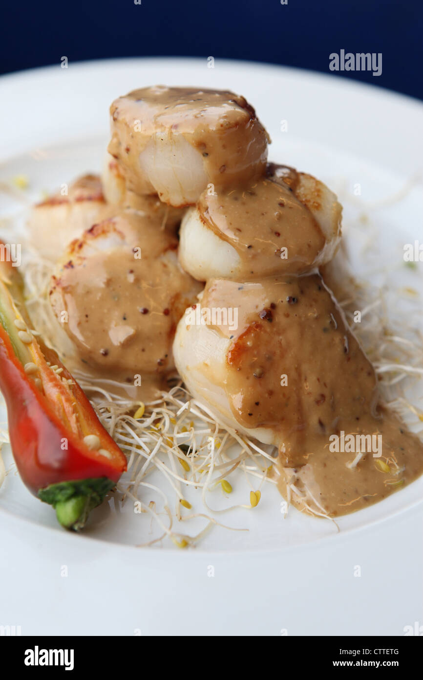 A plate of coquilles saint jacques Scallop Stock Photo