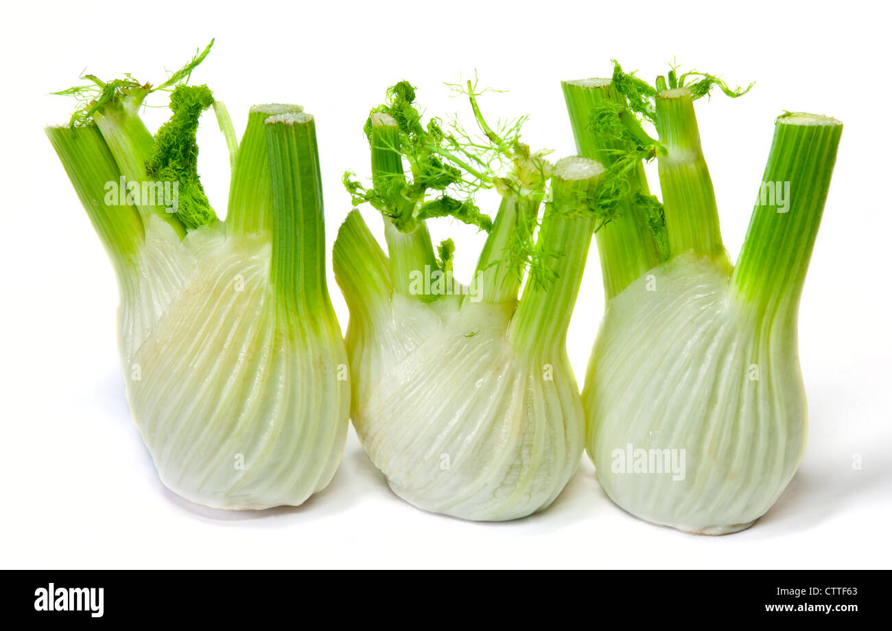 Florence Fennel Bulbs Stock Photo Alamy