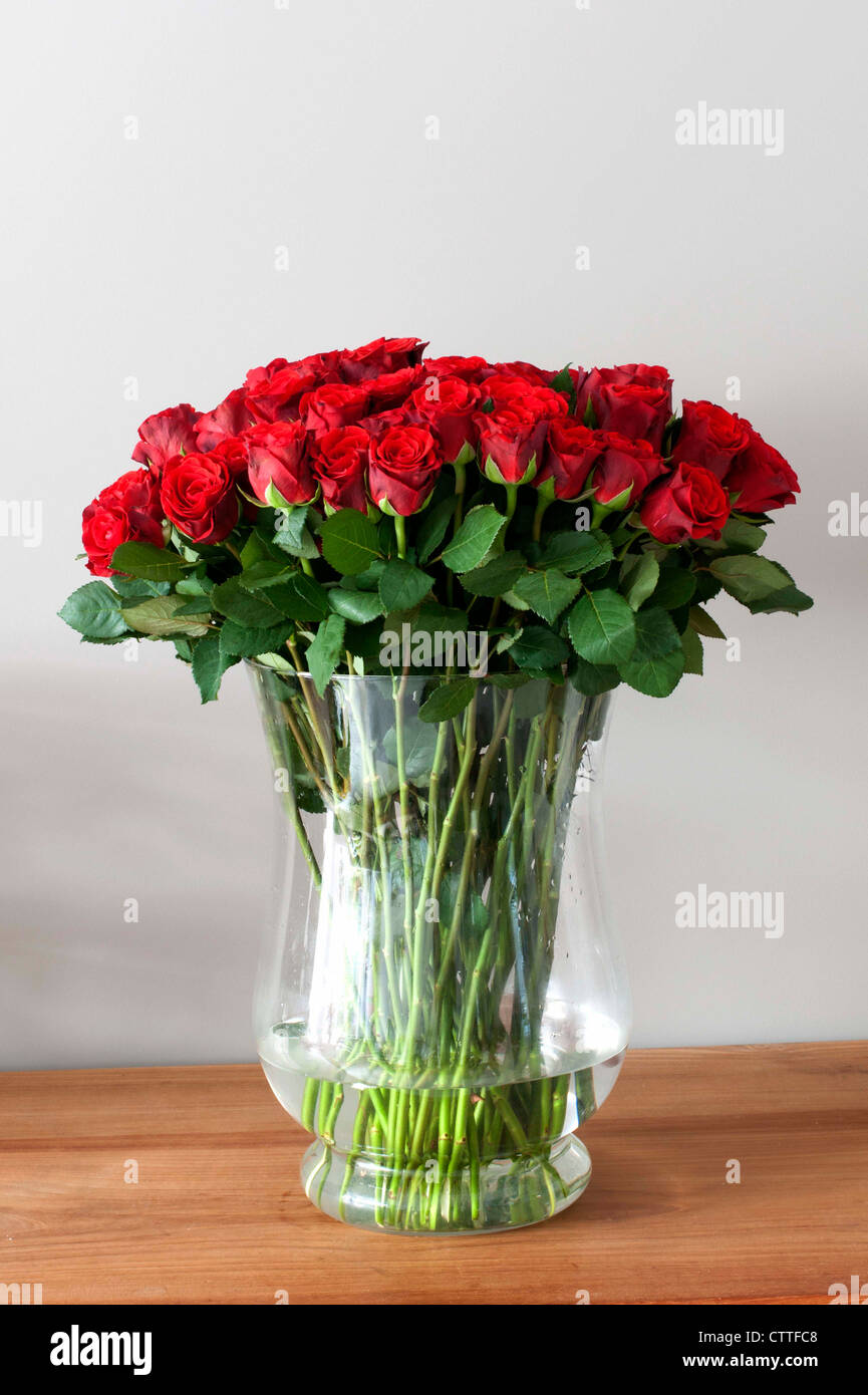 vase with red roses with sunlight on the flowers Stock Photo Alamy